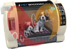 rcom-pet-brooder-icu-dogs