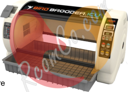 rcom-bird-brooder-icu-large