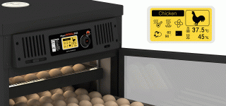 Rcom Maru PX200SD egg incubator image 2